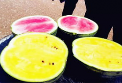 各种普通人吃瓜爆料